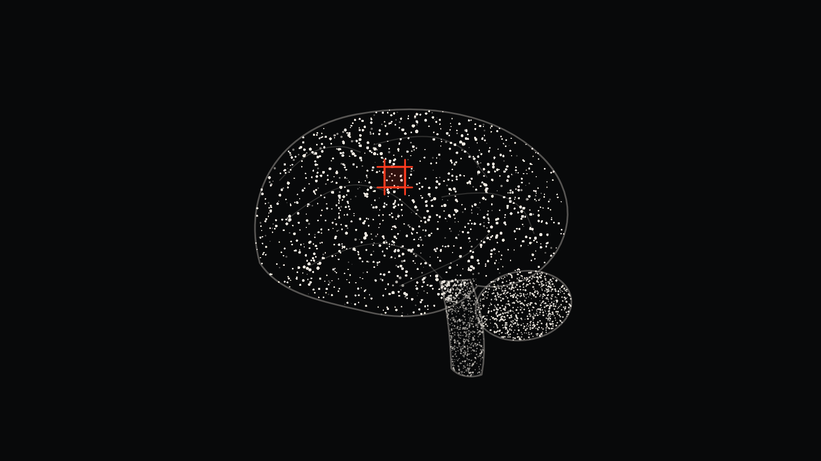 Drawing of a human brain in stipple, with a single square marked in red on the cortex.